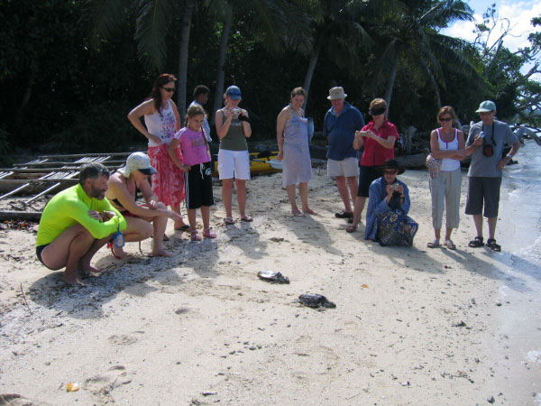 people watching the release of a turtle back in to the open sea